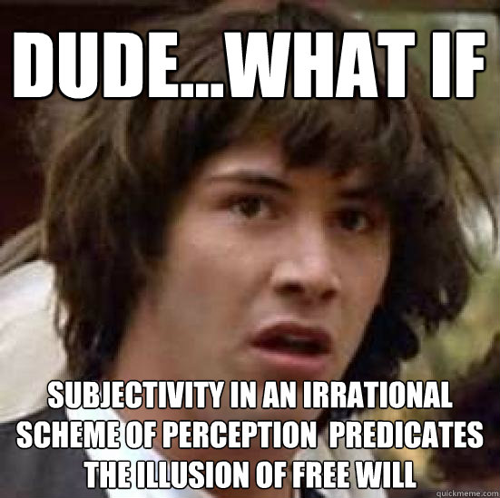 dudewhat if subjectivity in an irrational scheme of perce - conspiracy keanu