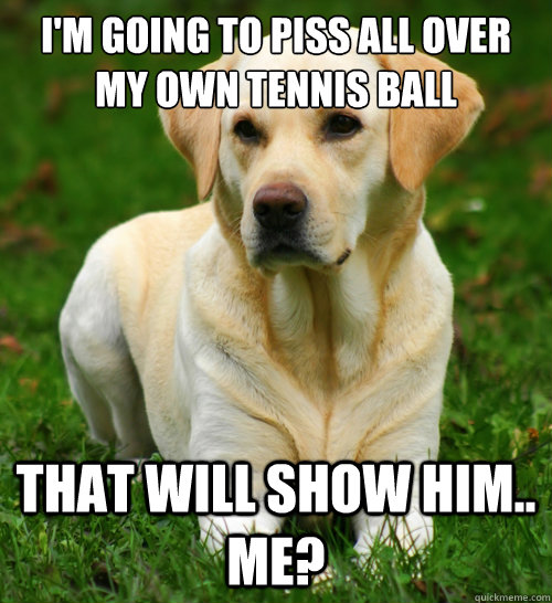 im going to piss all over my own tennis ball that will show - Dog Logic