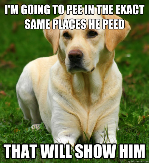 im going to pee in the exact same places he peed that will - Dog Logic