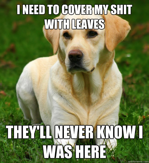 i need to cover my shit with leaves theyll never know i was - Dog Logic