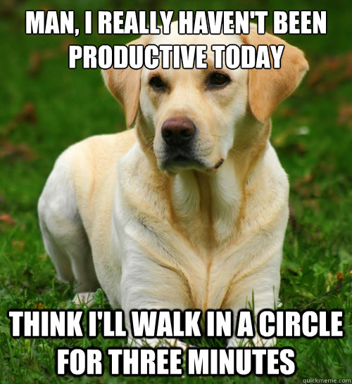 man i really havent been productive today think ill walk - Dog Logic