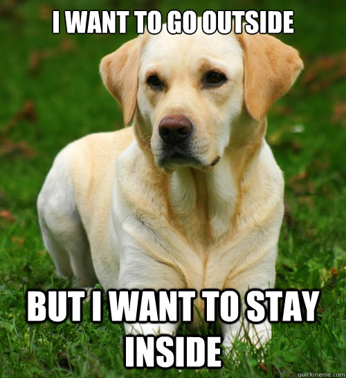 i want to go outside but i want to stay inside - Dog Logic