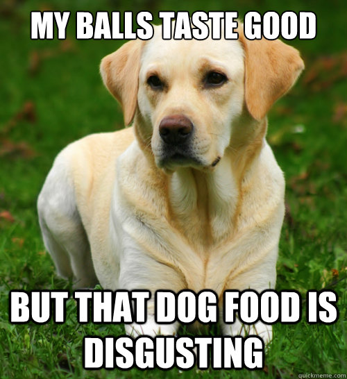 my balls taste good but that dog food is disgusting - Dog Logic