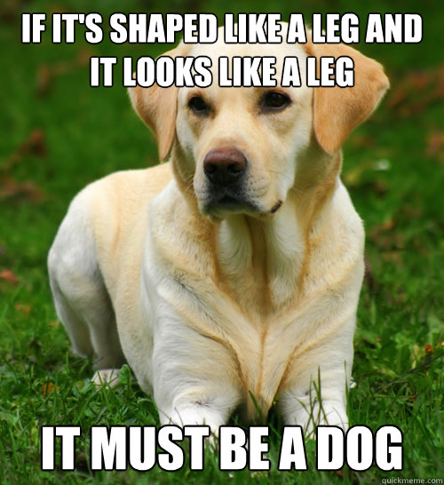 if its shaped like a leg and it looks like a leg it must be - Dog Logic