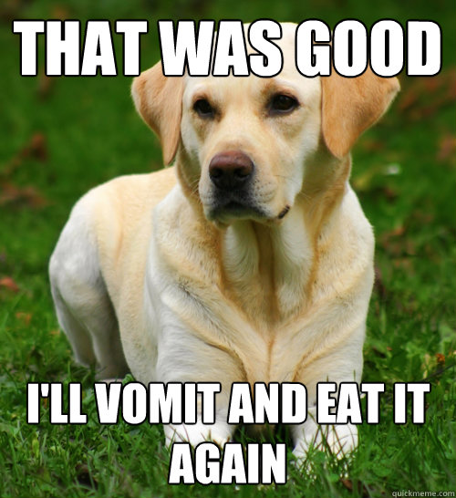 that was good ill vomit and eat it again - Dog Logic