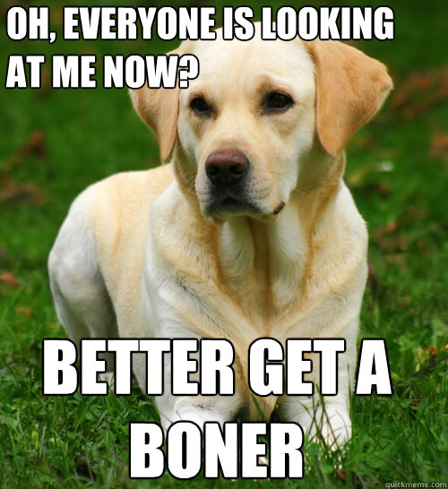 oh everyone is looking at me now better get a boner - Dog Logic