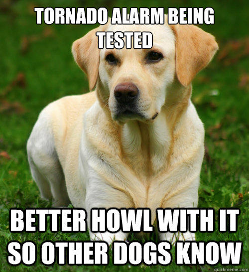 tornado alarm being tested better howl with it so other dogs - Dog Logic