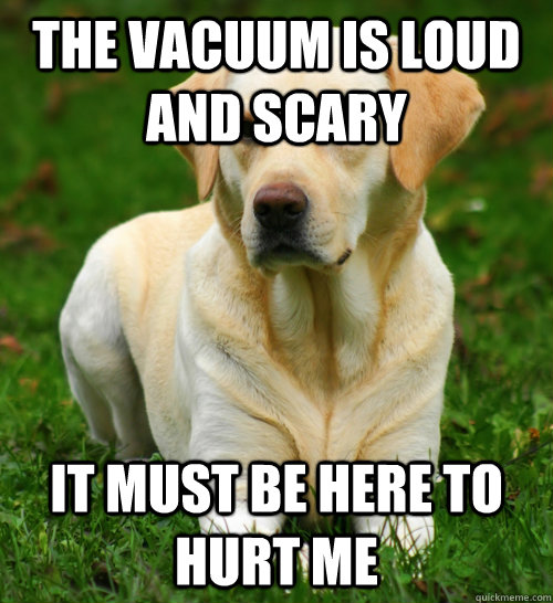 the vacuum is loud and scary it must be here to hurt me - Dog Logic