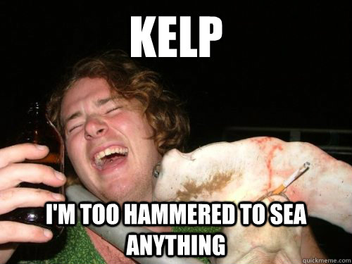 kelp im too hammered to sea anything - Hammered Hammer