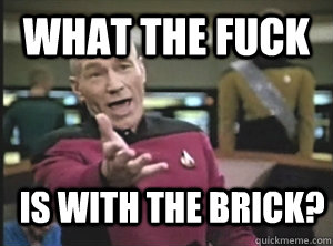 what the fuck is with the brick - Annoyed Picard