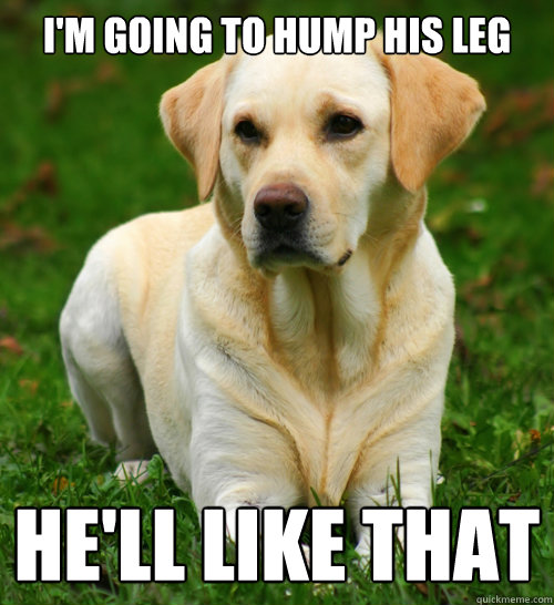 im going to hump his leg hell like that - Dog Logic
