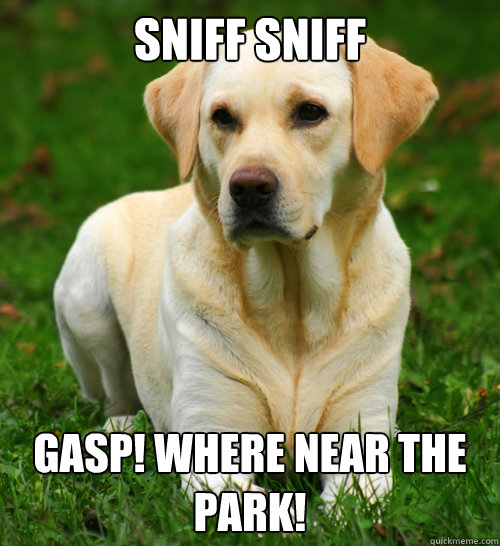 sniff sniff gasp where near the park - Dog Logic
