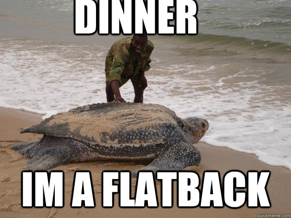 dinner im a flatback - meme