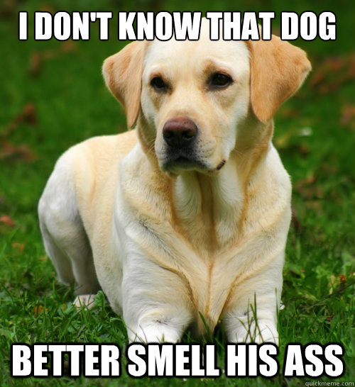 i dont know that dog better smell his ass - Dog Logic