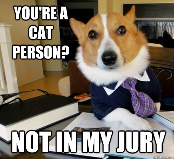 youre a cat person not in my jury - Lawyer Dog