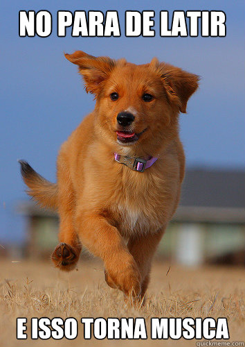 no para de latir e isso torna musica - Ridiculously Photogenic Puppy