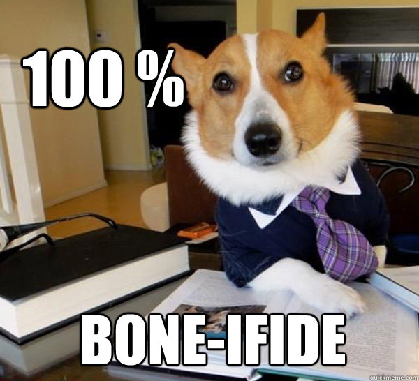 100 boneifide - Lawyer Dog