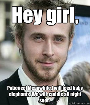 hey girl patience meanwhilei will feed baby elephants we - Ryan gosling