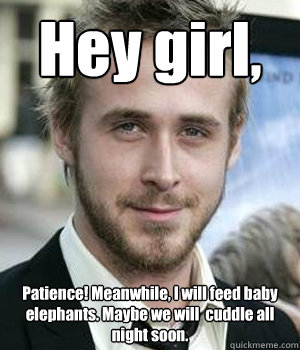 hey girl patience meanwhile i will feed baby elephants m - Ryan gosling