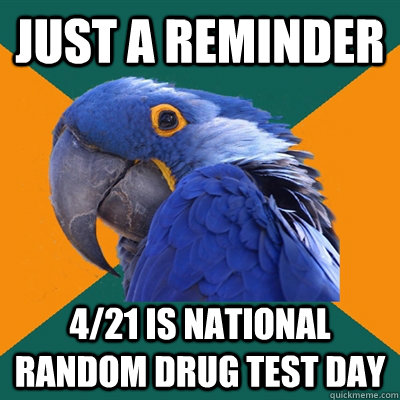 just a reminder 421 is national random drug test day - Paranoid Parrot