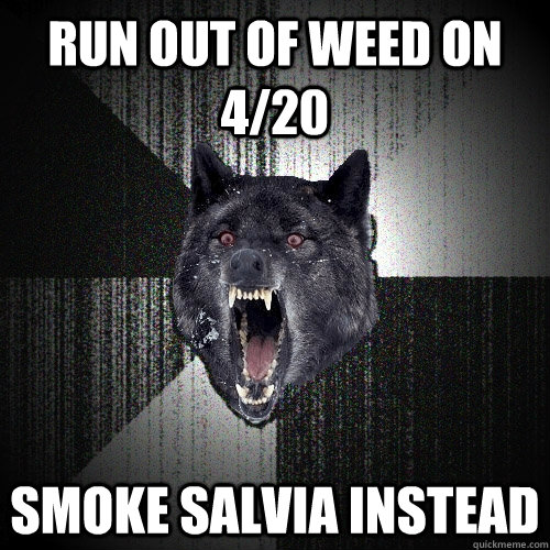 run out of weed on 420 smoke salvia instead - Insanity Wolf