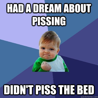 had a dream about pissing didnt piss the bed - Success Kid