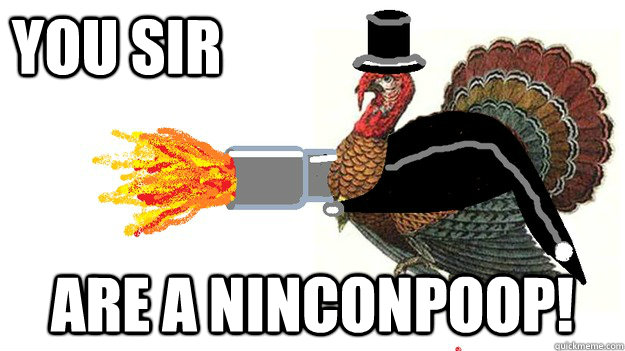 you sir are a ninconpoop - You Sir...