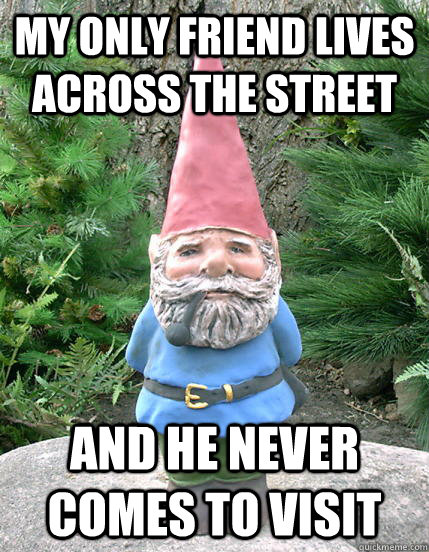 my only friend lives across the street and he never comes to - Forever a Gnome