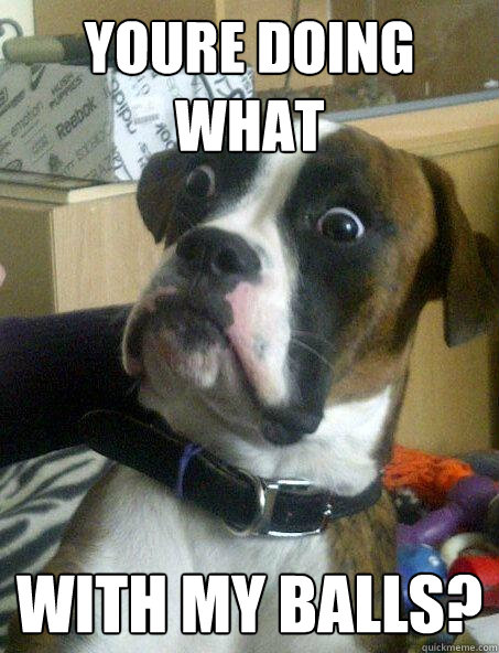 youre doing what with my balls - Sudden Clarity Canine