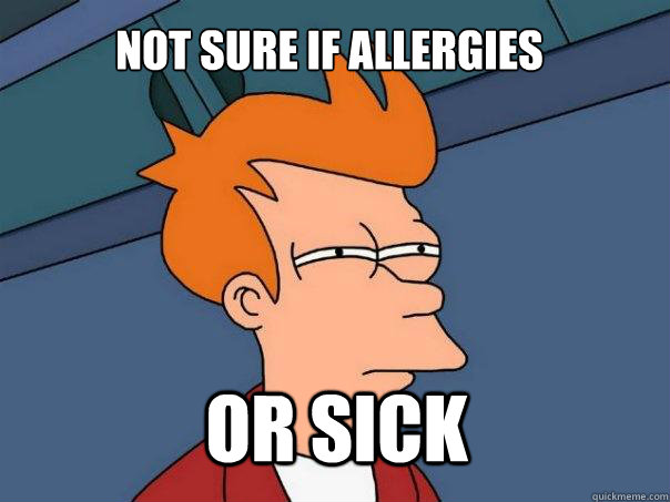 not sure if allergies or sick - Futurama Fry