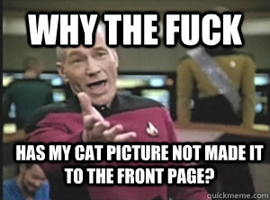 why the fuck has my cat picture not made it to the front pag - Annoyed Picard