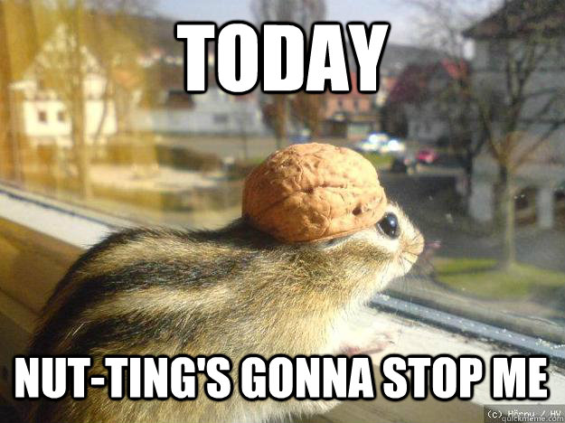 today nuttings gonna stop me - Adventure Chipmunk