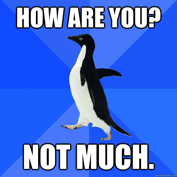 how are you not much - Socially Awkward Penguin
