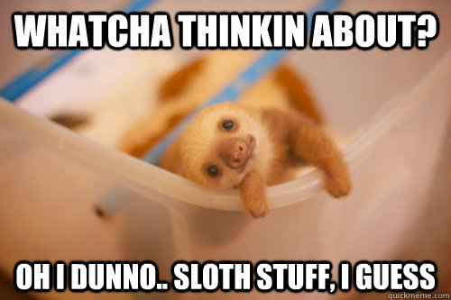 whatcha thinkin about oh i dunno sloth stuff i guess - Sloth thoughts