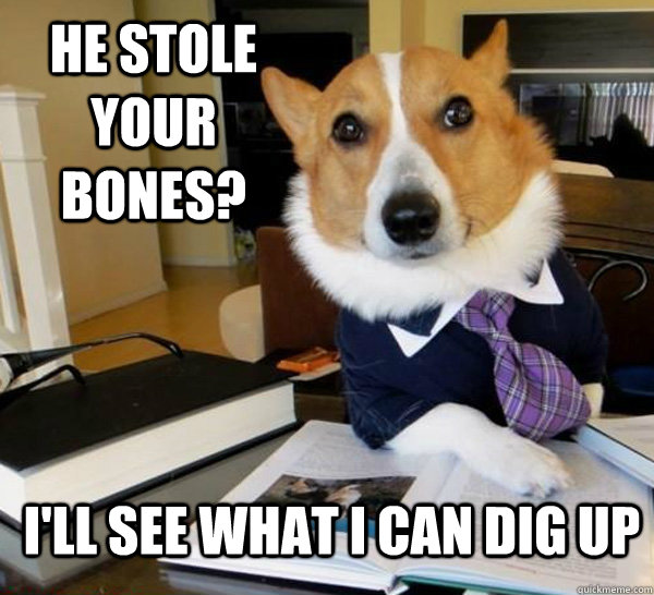 he stole your bones ill see what i can dig up - Lawyer Dog