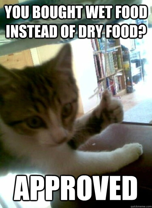 you bought wet food instead of dry food approved - Approving Cat