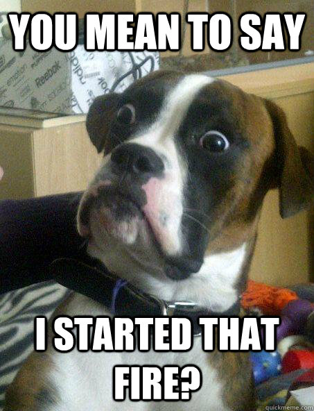 you mean to say i started that fire - Baffled boxer
