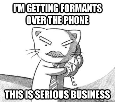 Serious Business Cat