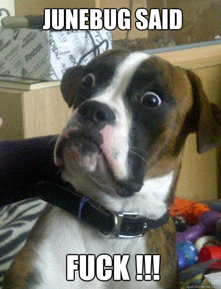 junebug said fuck - Baffled boxer