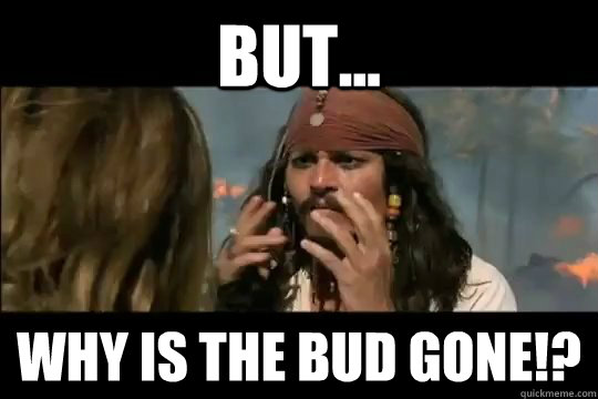 but why is the bud gone -