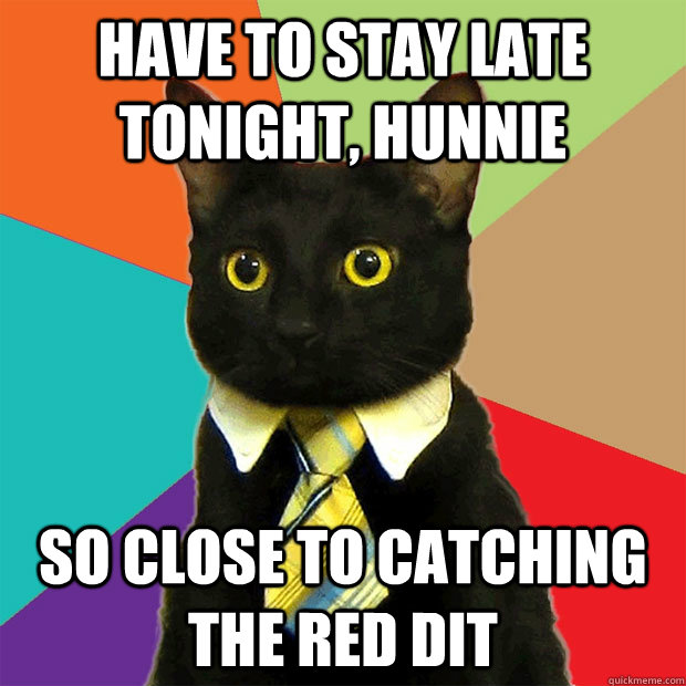 have to stay late tonight hunnie so close to catching the r - Business Cat