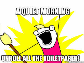 a quiet morning unroll all the toiletpaper - All The Things