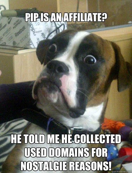 pip is an affiliate he told me he collected used domains fo - Baffled boxer