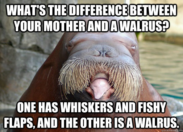 whats the difference between your mother and a walrus one -