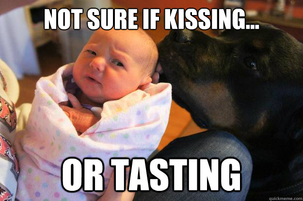 not sure if kissing or tasting - Skeptical Baby