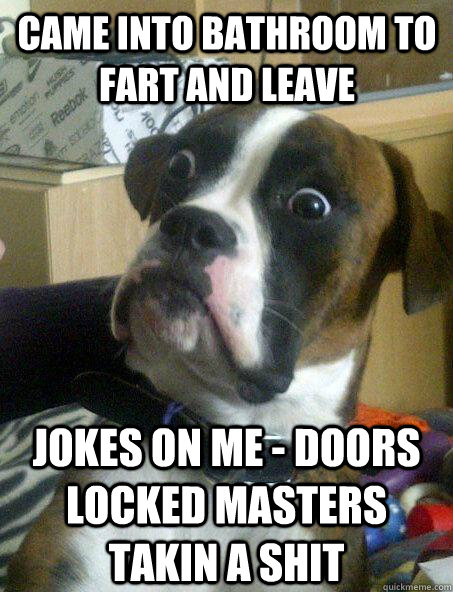 came into bathroom to fart and leave jokes on me doors loc - Baffled boxer