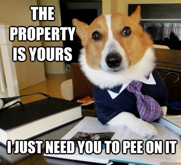 the property is yours i just need you to pee on it - Lawyer Dog