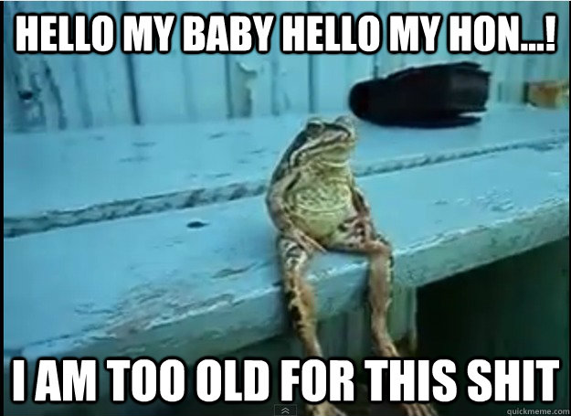 hello my baby hello my hon i am too old for this shit -