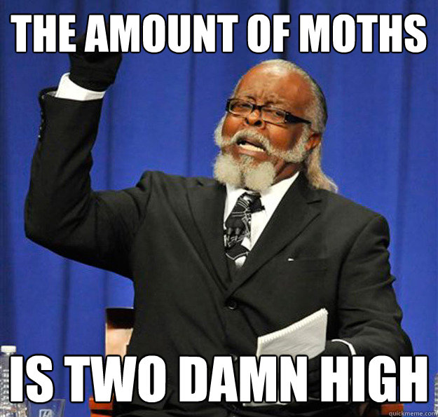 the amount of moths is two damn high - Jimmy McMillan