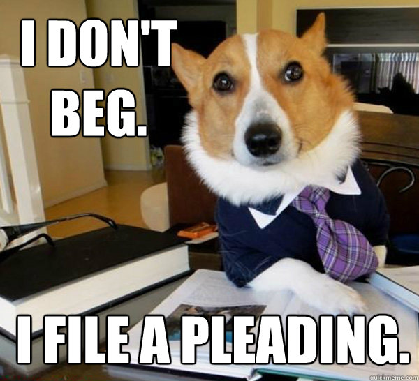 i dont beg i file a pleading - Lawyer Dog